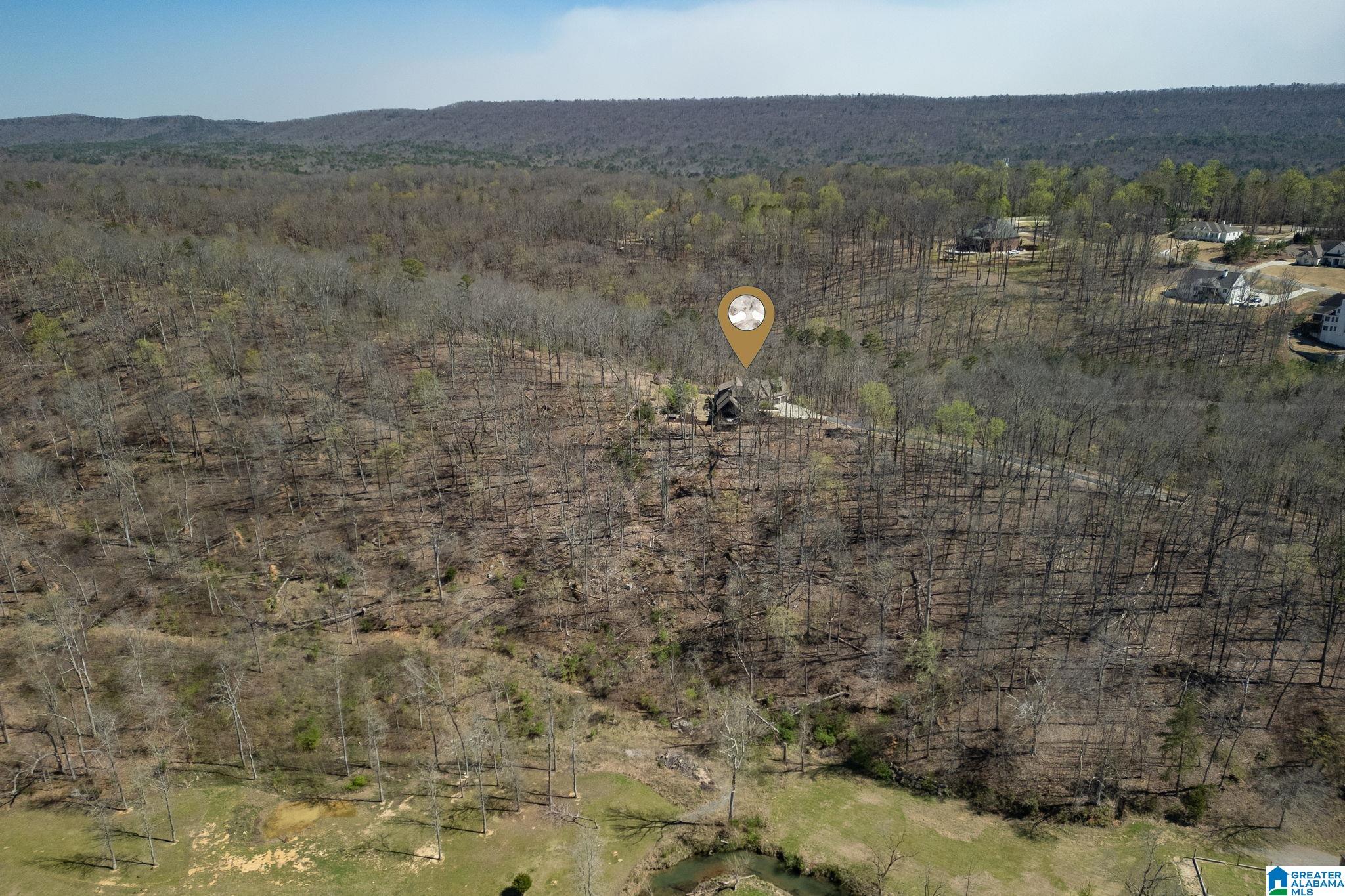 1045 Stagg Run Trail Pelham, AL 35124 - Photo 64 of 68