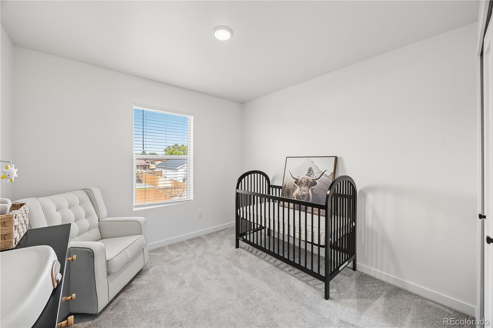 669 South Hoover Avenue Fort Lupton, CO 80621 - Photo 17 of 24 a view of a livingroom with a couch and windows
