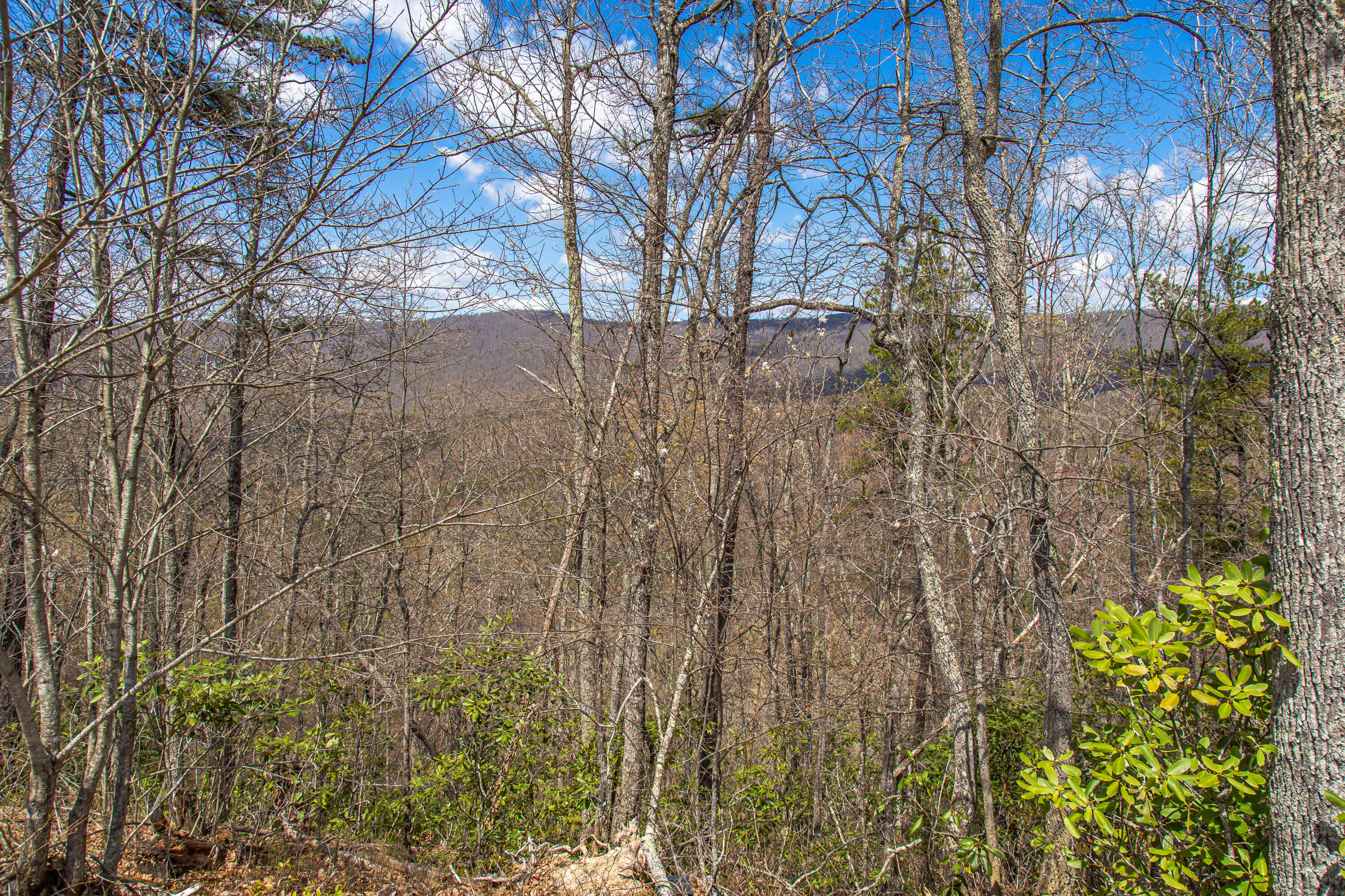 760 Walkers Creek Road Marion, VA 24354 - Photo 20 of 36 H93A2329