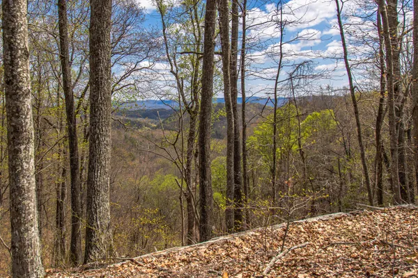 $195,000 | 760 Walkers Creek Road, Marion, VA 24354