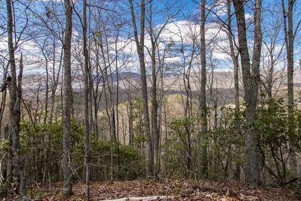 $195,000 | 760 Walkers Creek Road, Marion, VA 24354