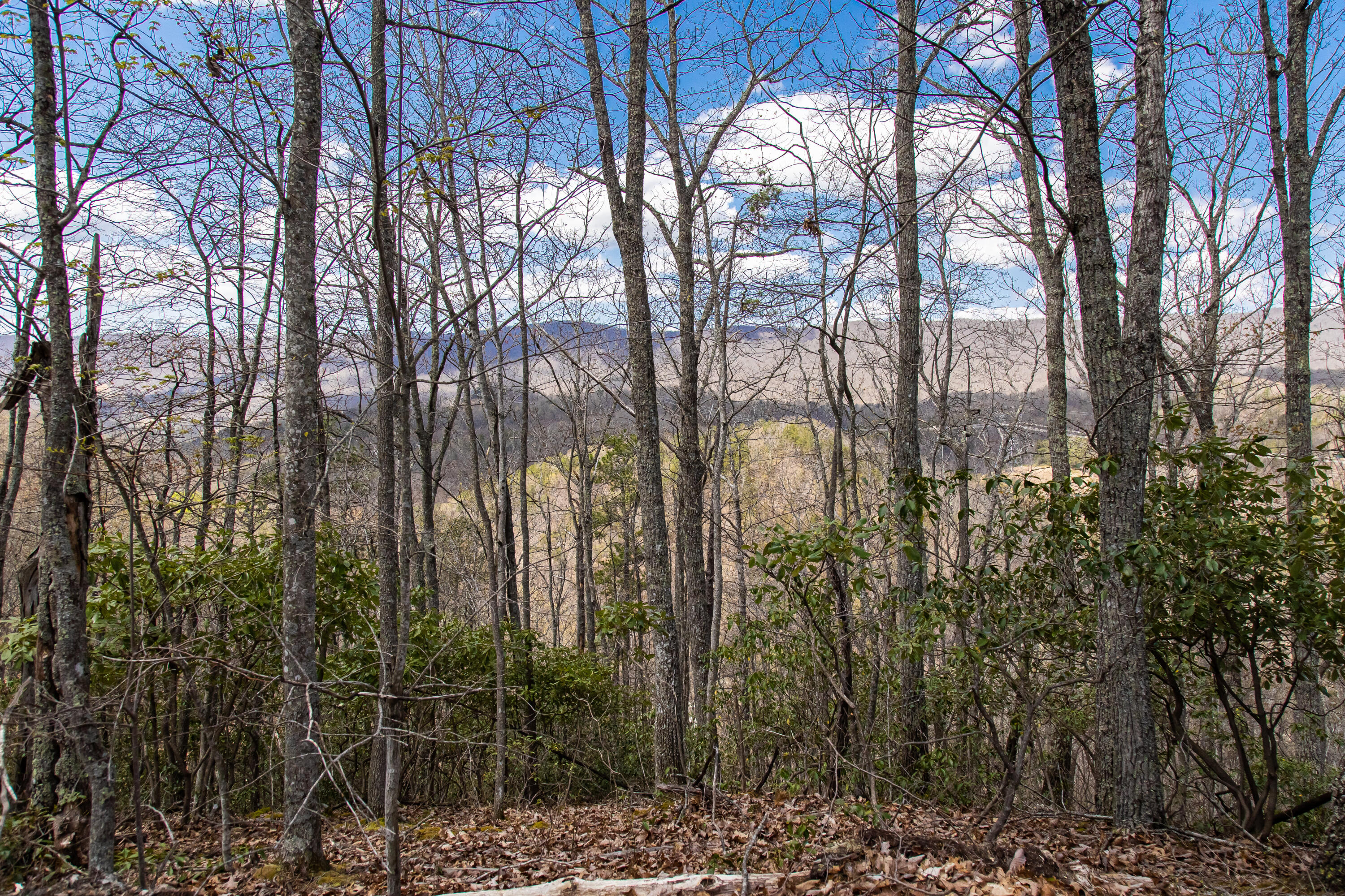 760 Walkers Creek Road Marion, VA 24354 - Photo 30 of 36 H93A2378