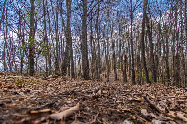 $195,000 | 760 Walkers Creek Road, Marion, VA 24354