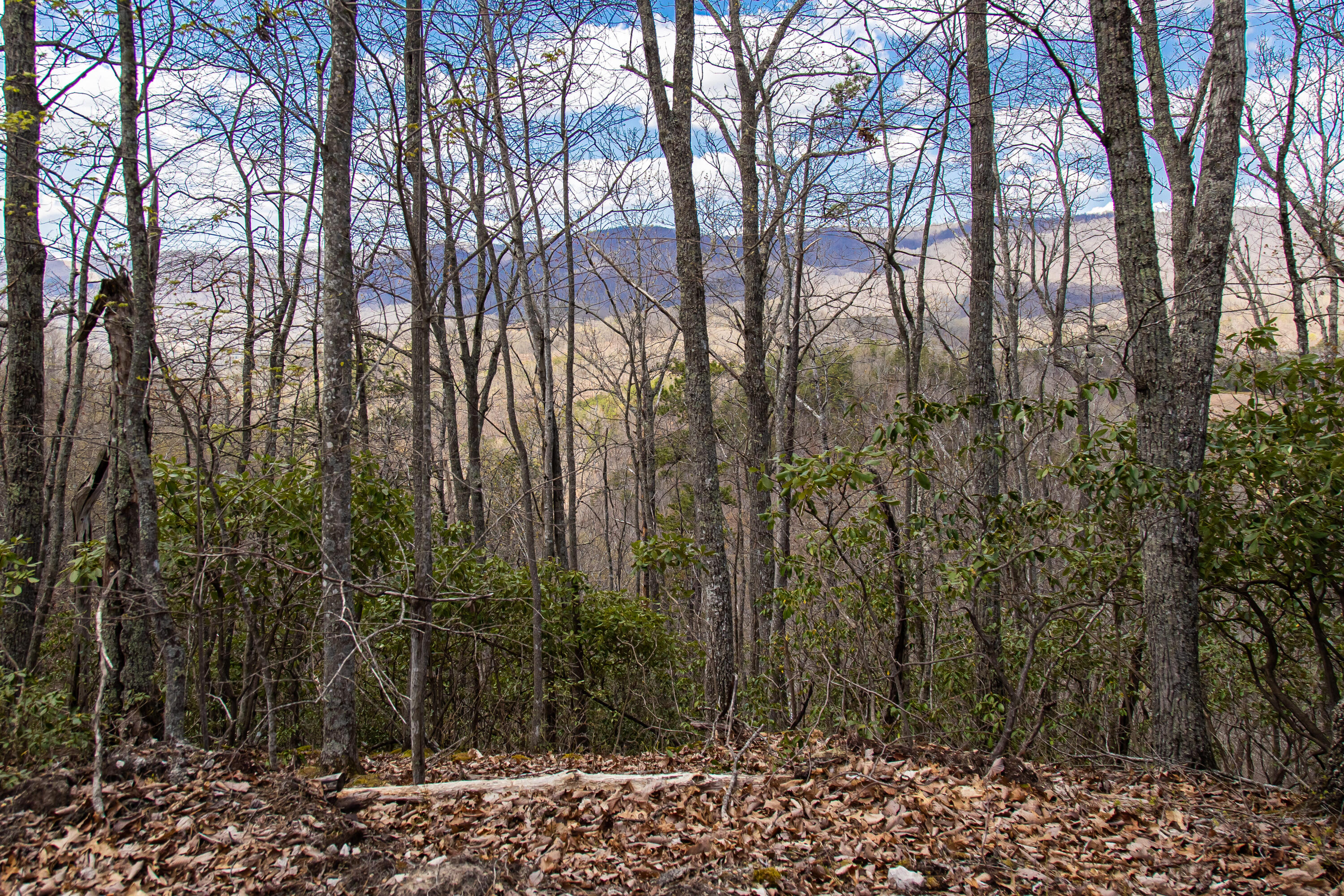 760 Walkers Creek Road Marion, VA 24354 - Photo 32 of 36 H93A2396