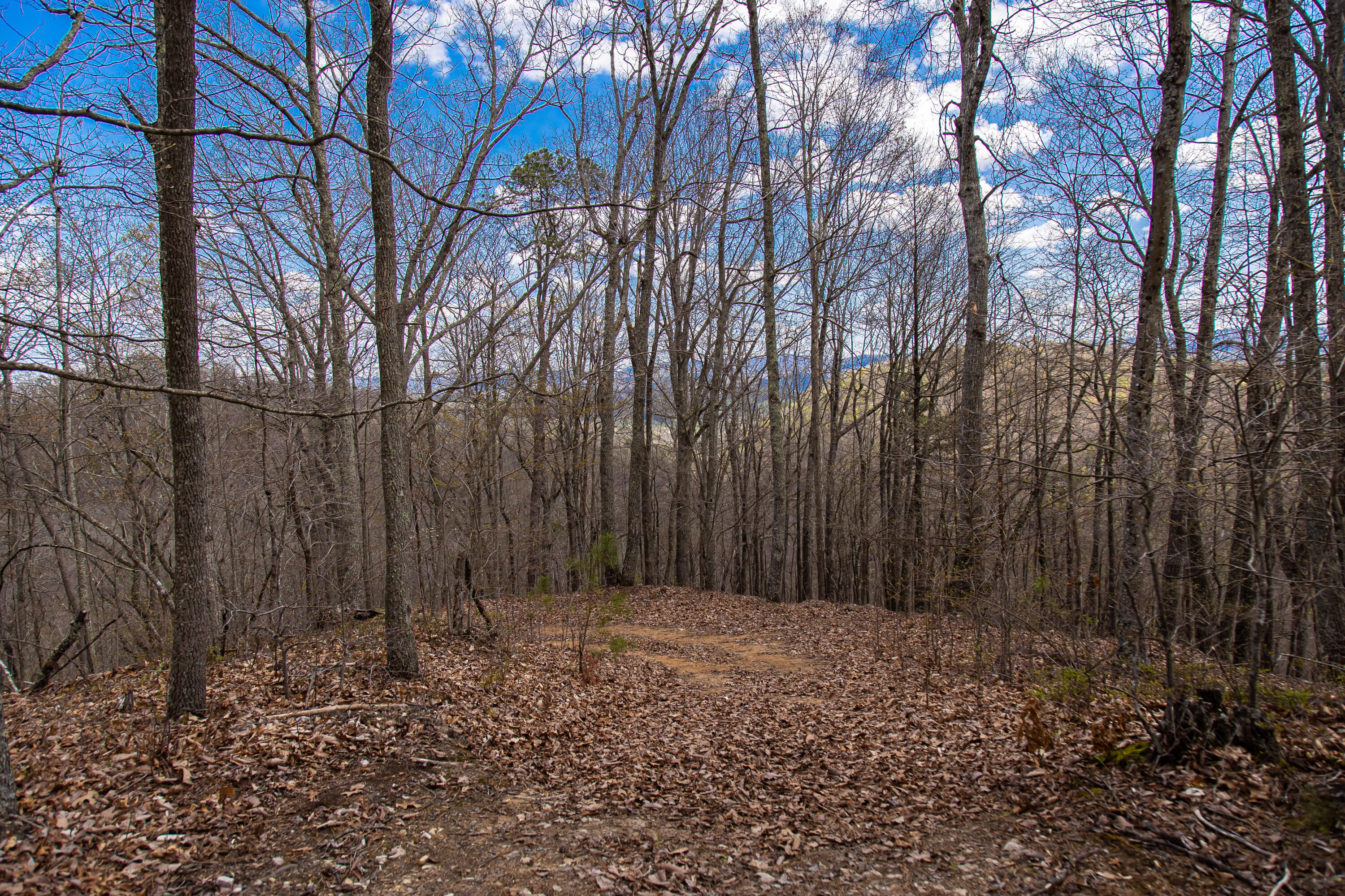 760 Walkers Creek Road Marion, VA 24354 - Photo 33 of 36 H93A2406