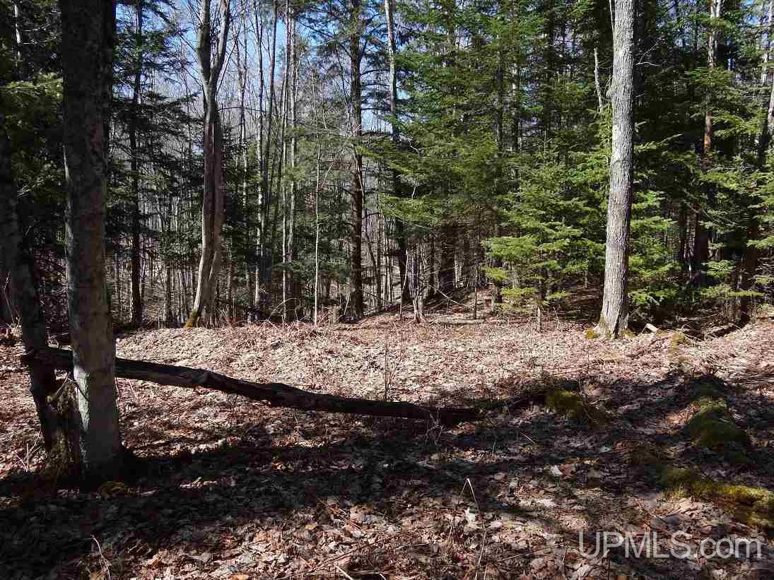 Tbd Wadaga Road Baraga, MI 49908 - Photo 6 of 17 Gallery Image 6