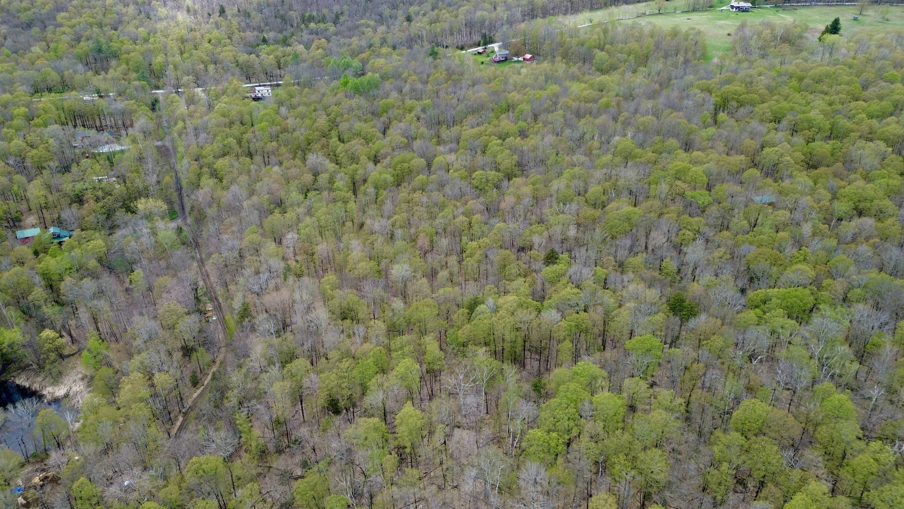 220 Middle Road Chittenden, VT 05763 - Photo 11 of 22