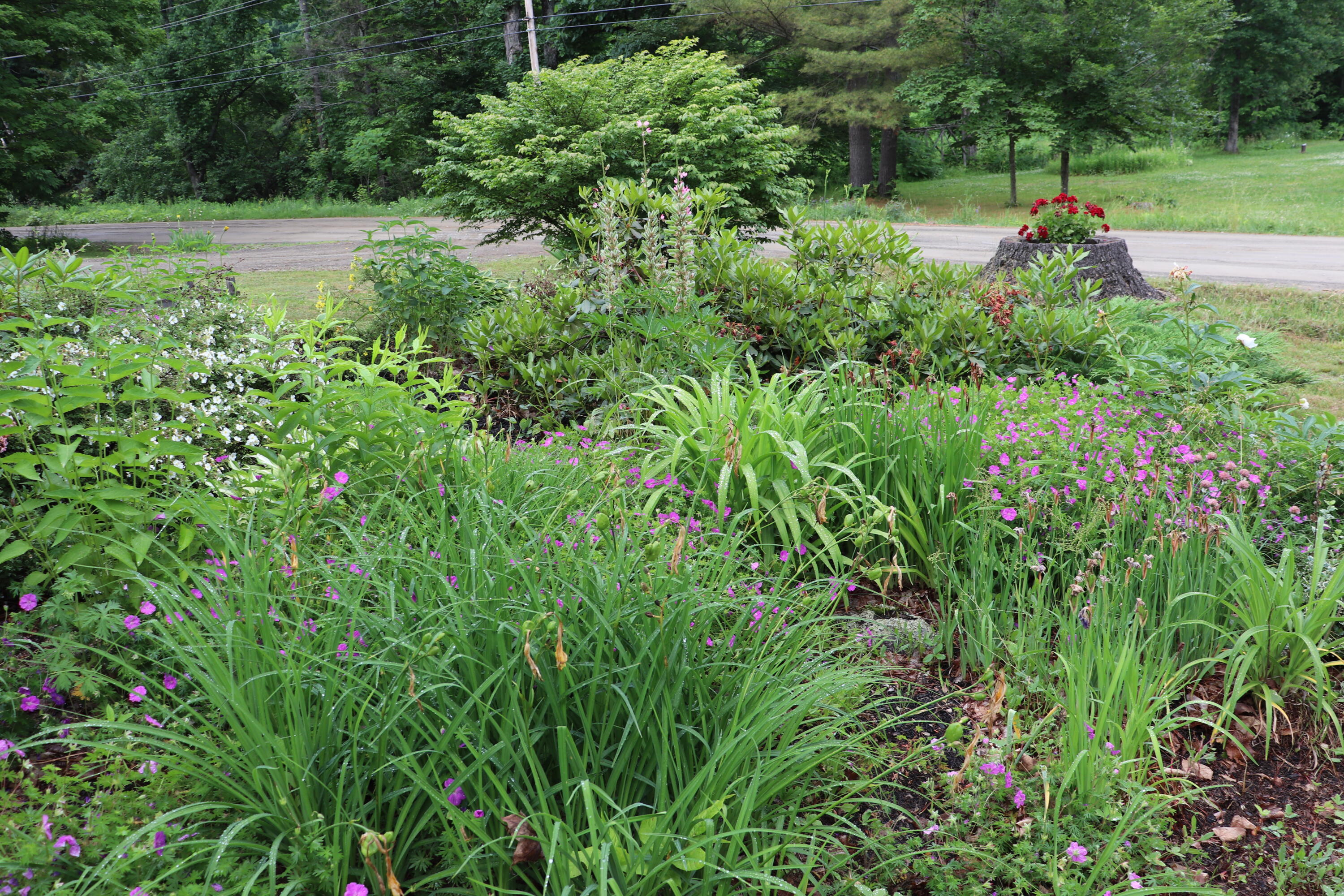 72 Greeley Road Garland, ME 04939 - Photo 16 of 34 12