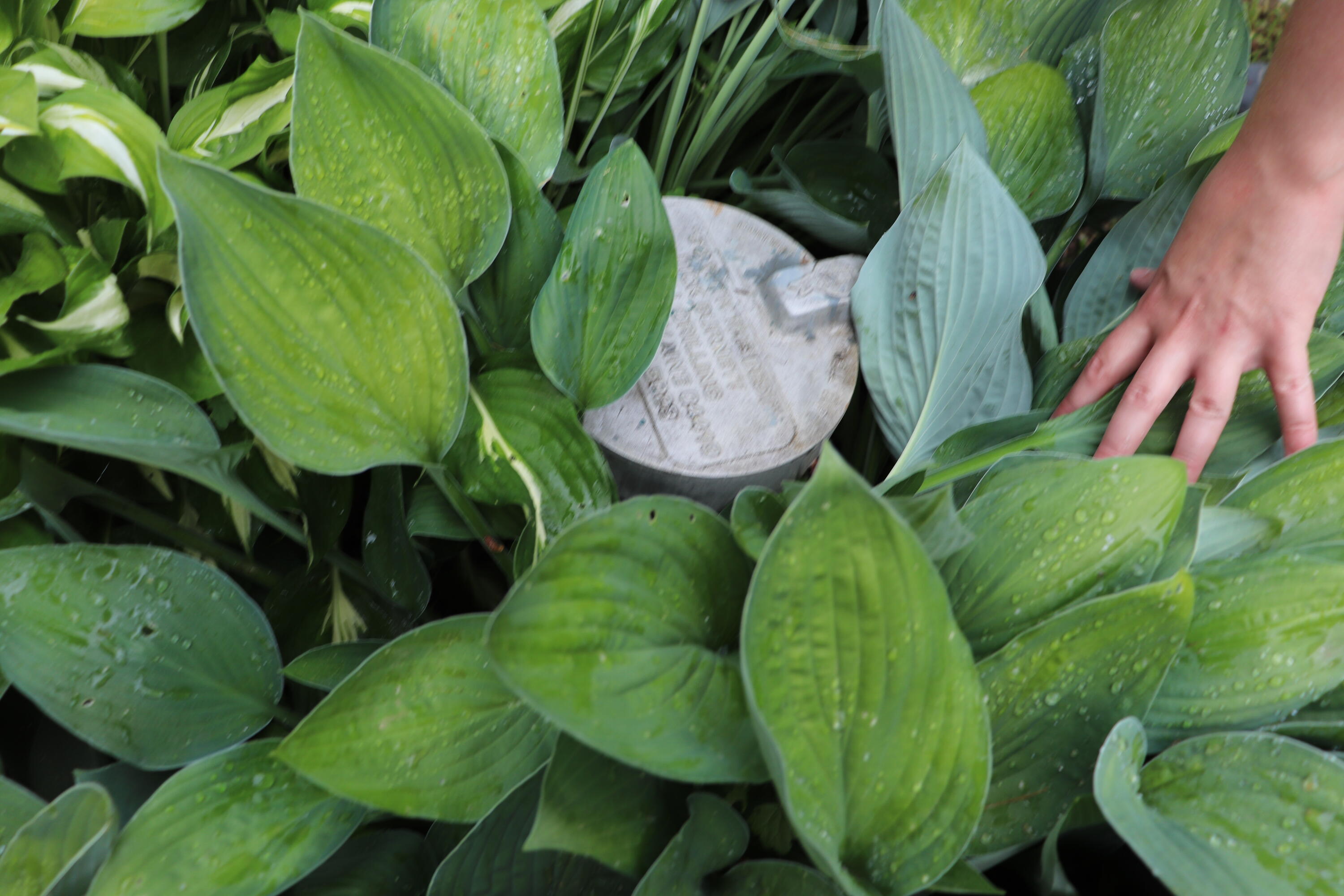 72 Greeley Road Garland, ME 04939 - Photo 7 of 34 4f