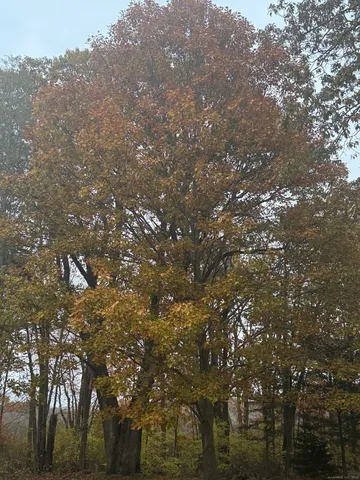 $1,750 | 74 Baxter Road, Storrs Mansfield, CT 06268