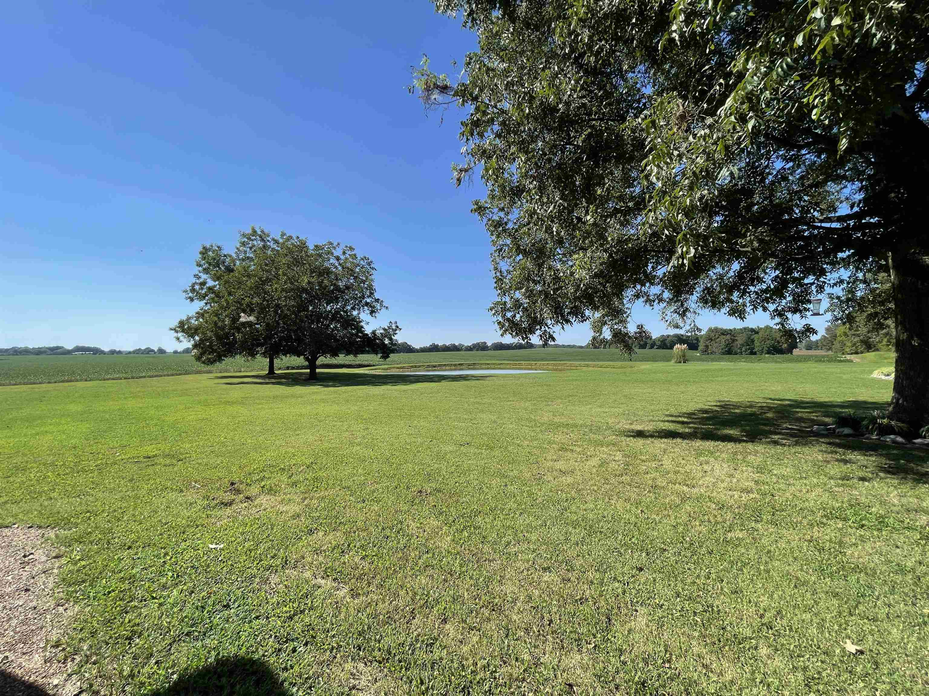 2507 East Grove Road Gleason, TN 38229 - Photo 26 of 37 a view of a lake with a big yard