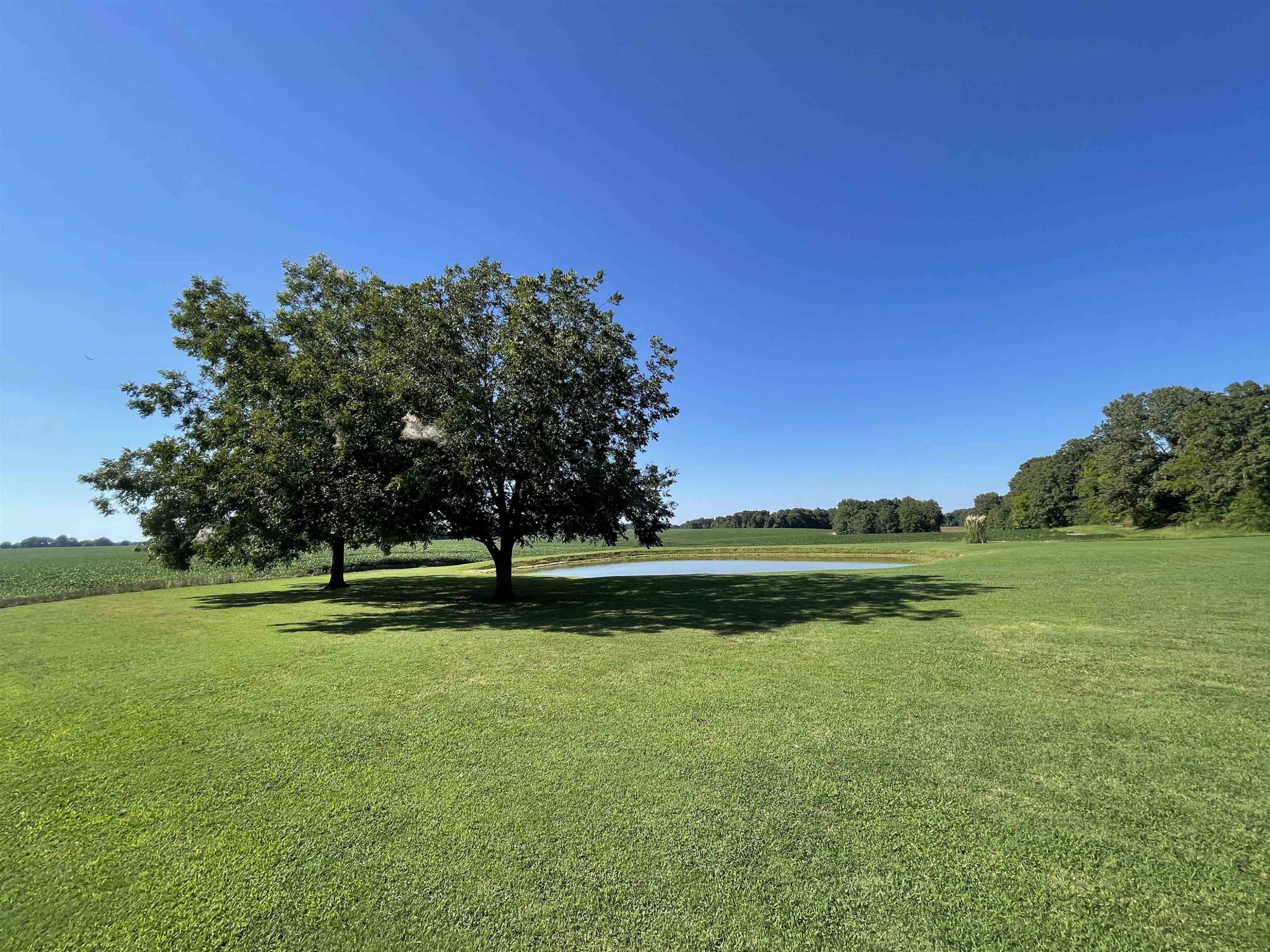 2507 East Grove Road Gleason, TN 38229 - Photo 27 of 37 a view of a golf course with a lake