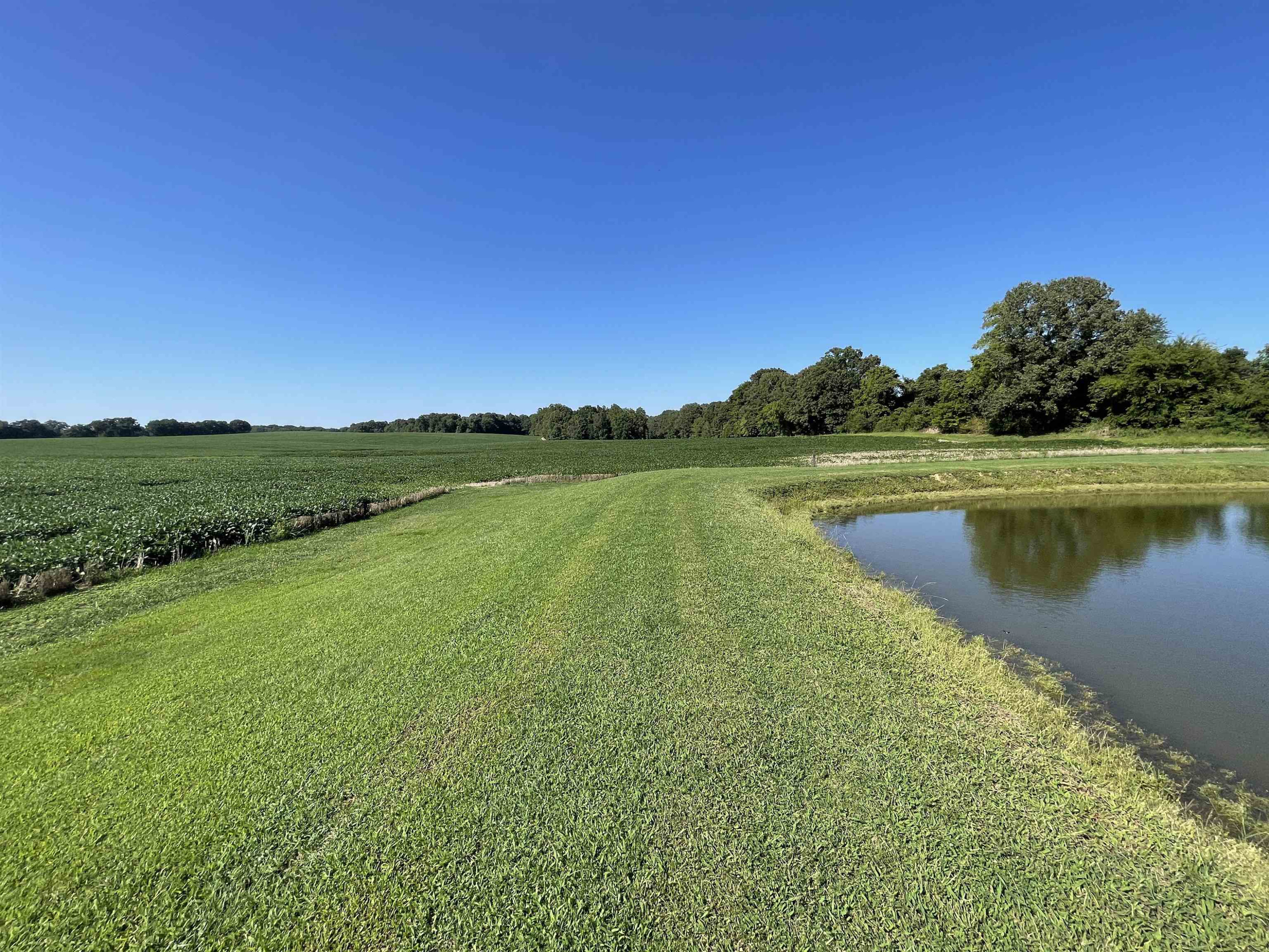 2507 East Grove Road Gleason, TN 38229 - Photo 29 of 37 a view of a lake with a city