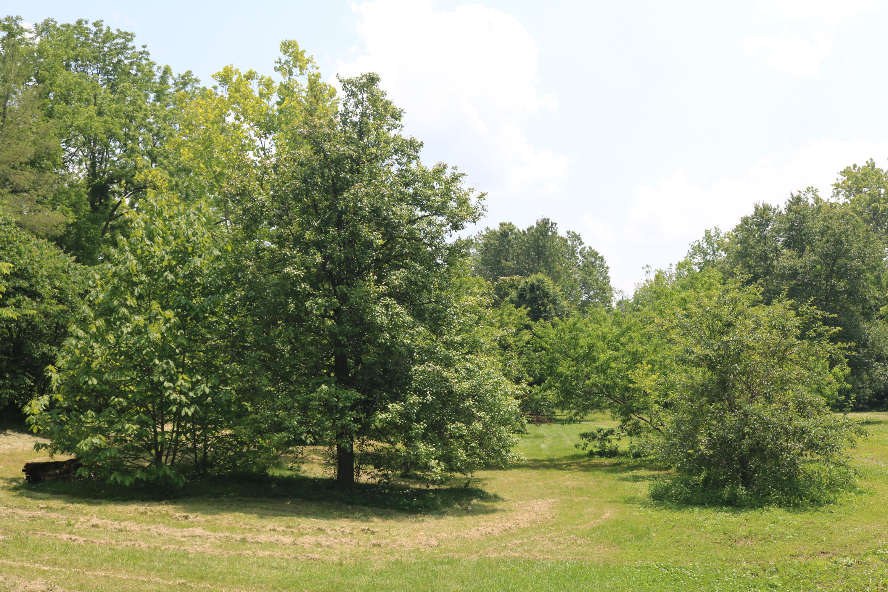 164 Ox Bow Road Carlisle, KY 40311 - Photo 6 of 23 IMG_7369