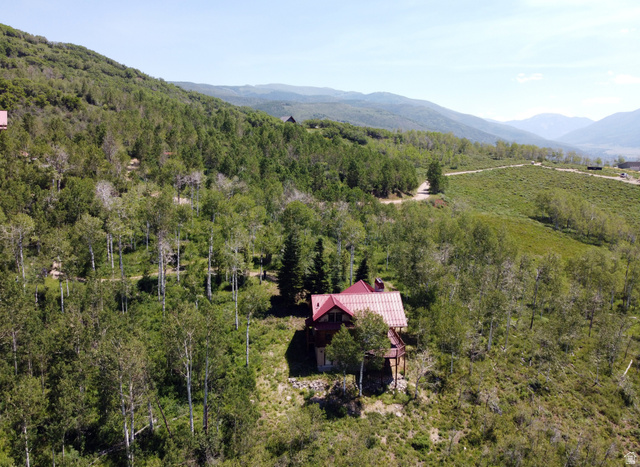 6210 Mountain View Road, Unit 133 Coalville, UT 84017 - Photo 6 of 87 Aerial view back of cabin and surrounding area.