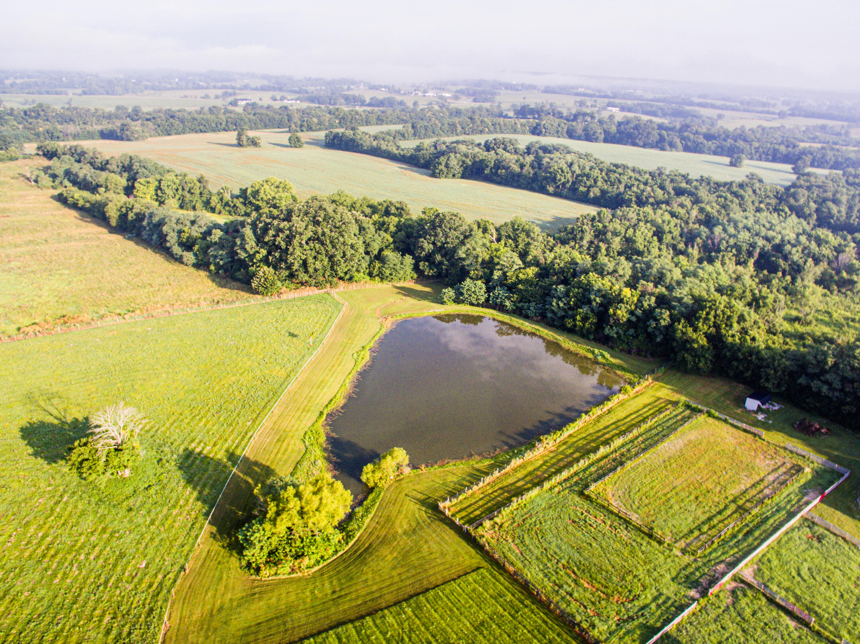 327 Collins Road Paris, KY 40361 - Photo 26 of 73 DJI_0042