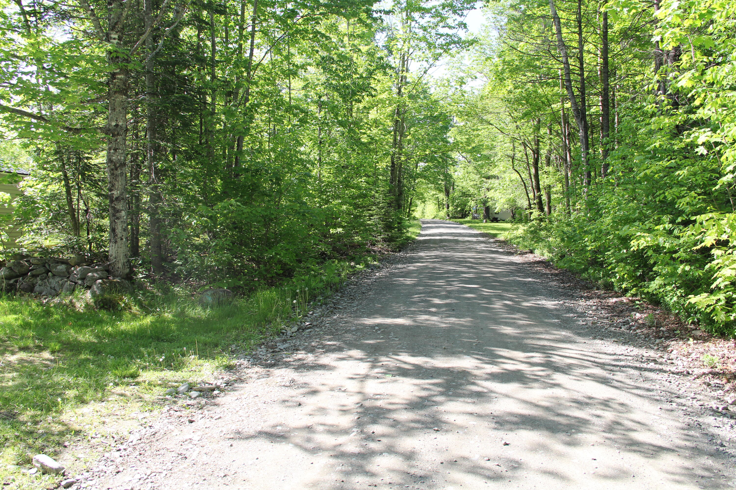 879 Mahoney Hill Road Bingham, ME 04920 - Photo 5 of 14 IMG_9702
