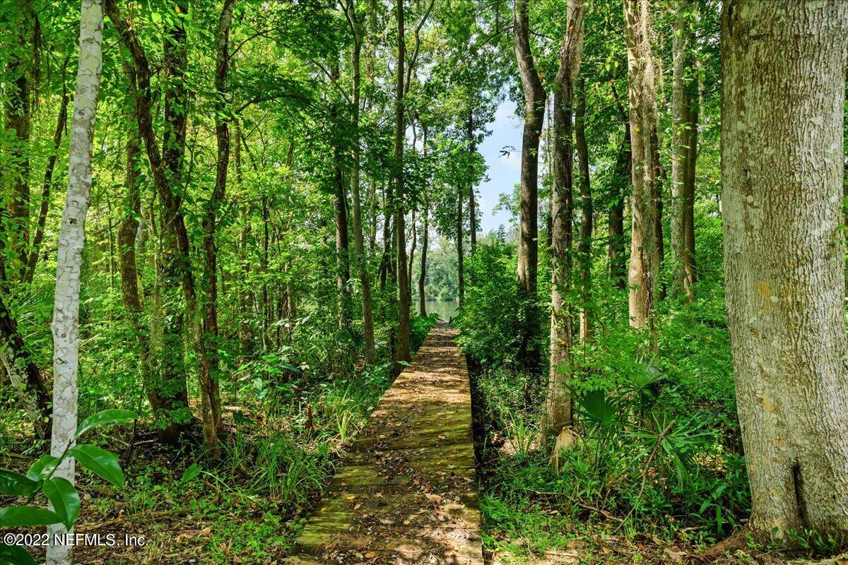 147 Finnigan Road Satsuma, FL 32189 - Photo 28 of 42 Path to water