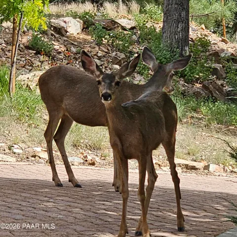 $1,088,000 | 2394 Oakwood Drive, Prescott, AZ 86305
