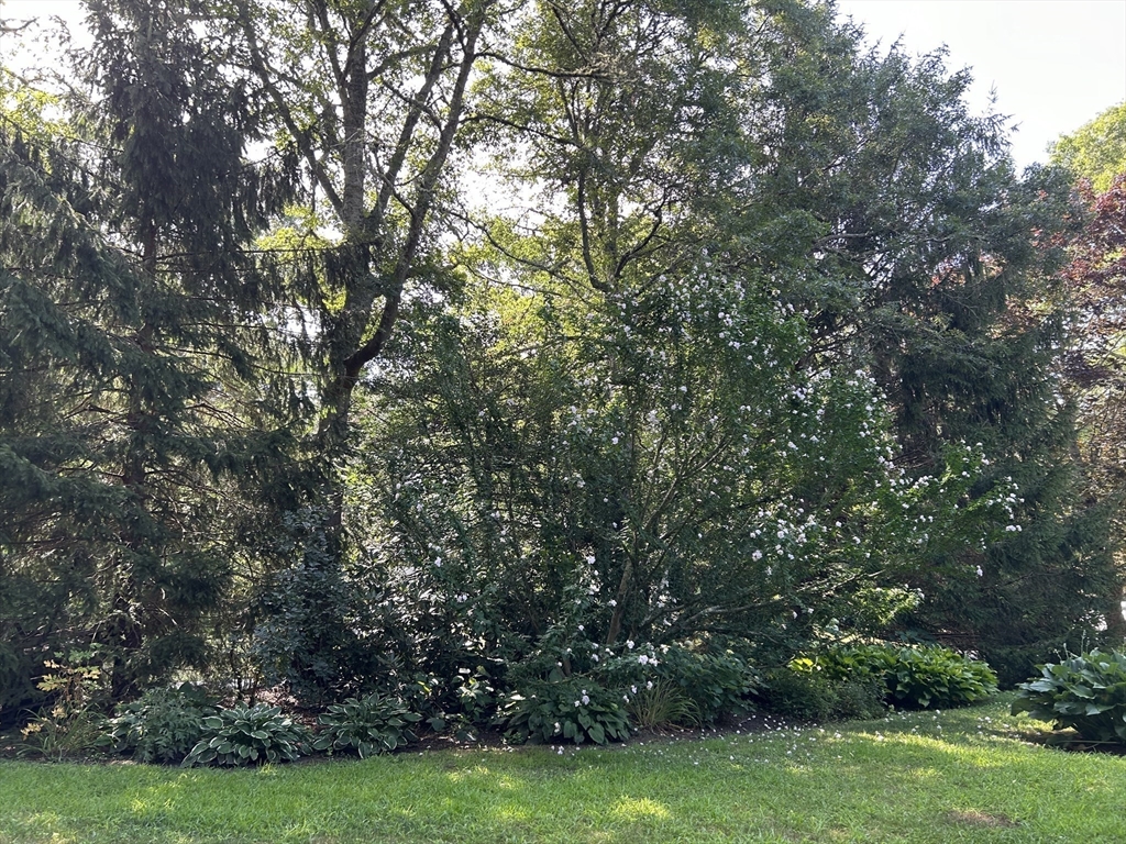 42 Yawl Road Osterville, MA 02655 - Photo 25 of 31 Gallery Image 25