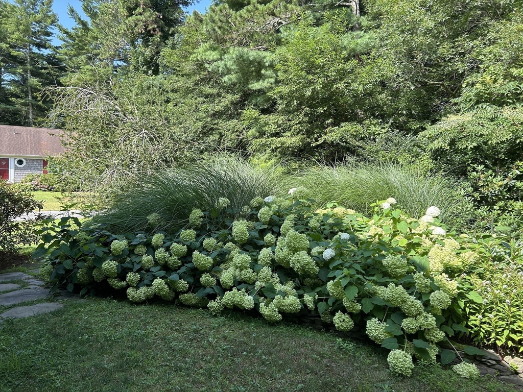 42 Yawl Road Osterville, MA 02655 - Photo 3 of 31 Gallery Image 3