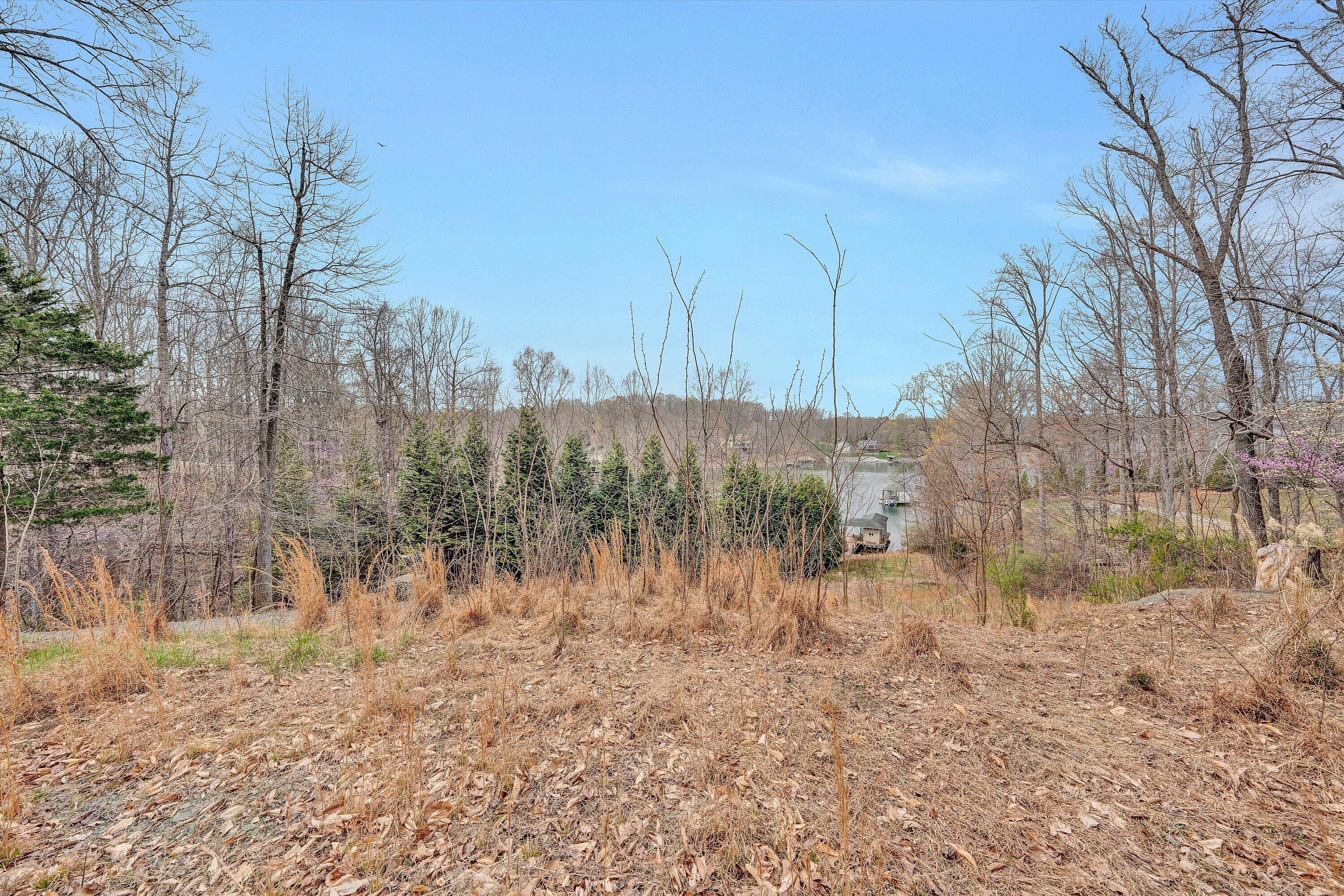 951 Piney Point Road Union Hall, VA 24176 - Photo 11 of 13 13-DSC00198