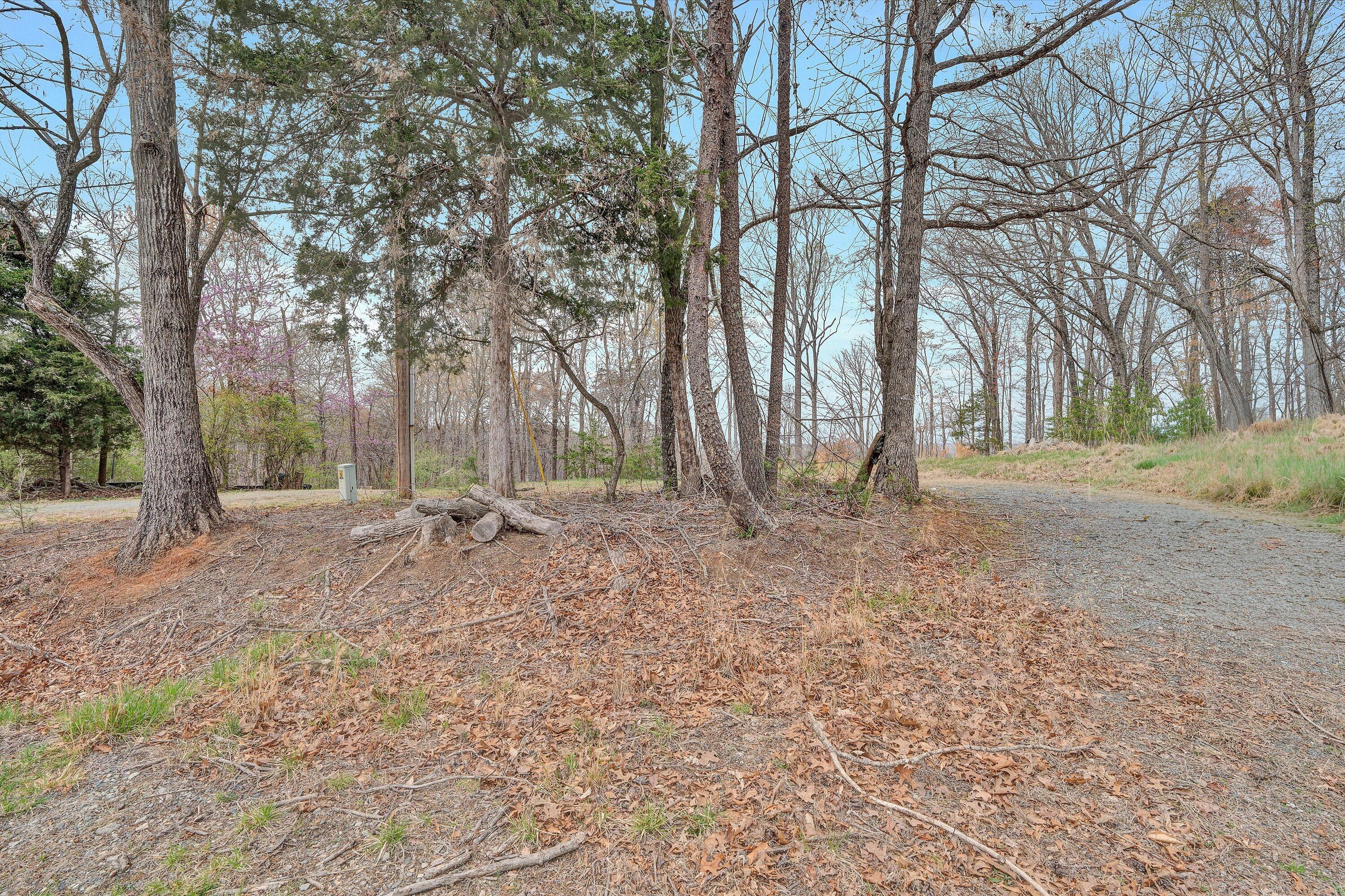 951 Piney Point Road Union Hall, VA 24176 - Photo 12 of 13 10-DSC00234