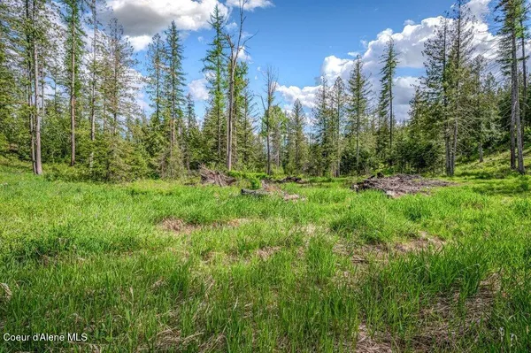 $275,000 | Oleander Drive, Sandpoint, ID 83864