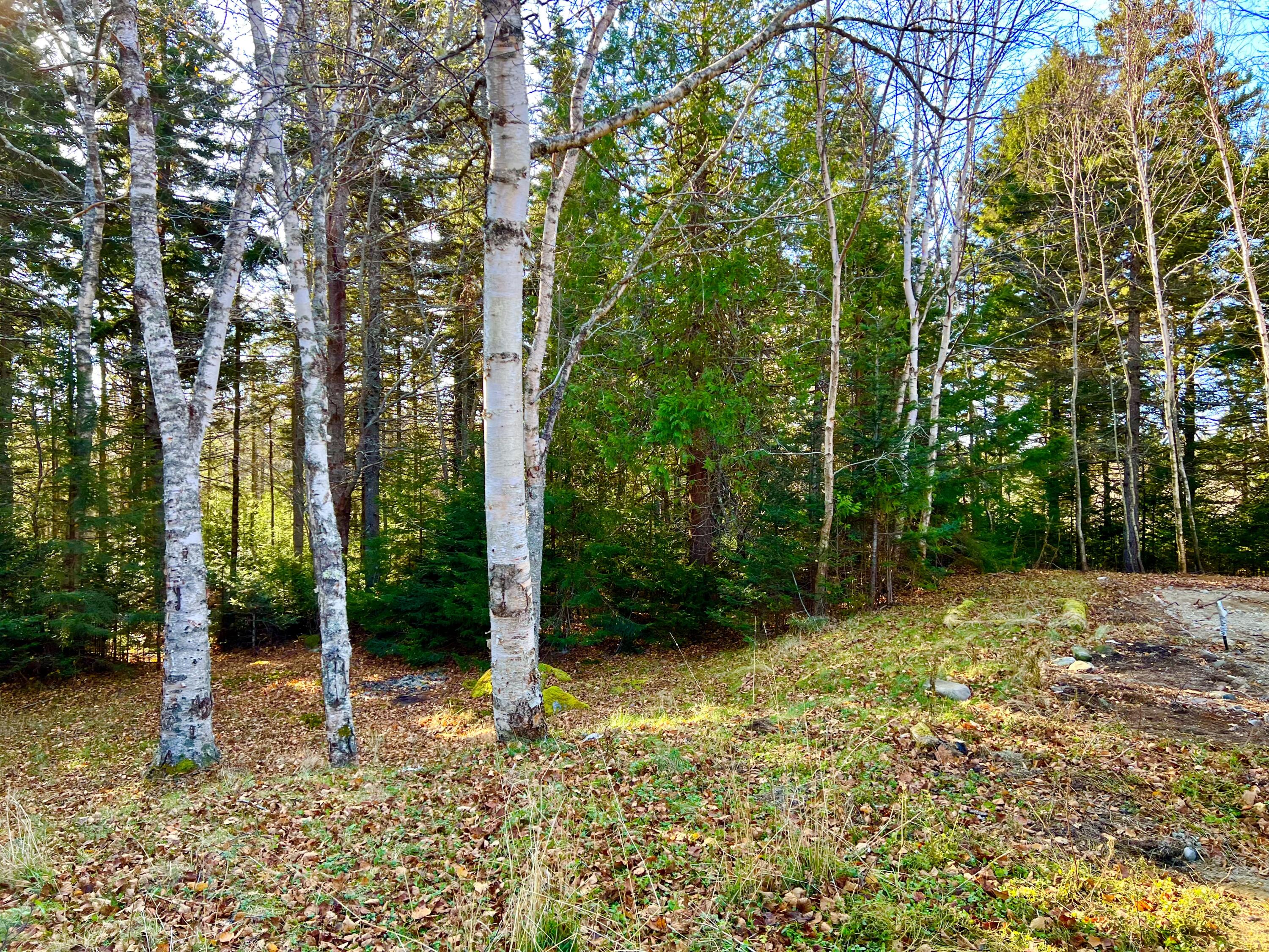 56 Dodge Point Road Tremont, ME 04612 - Photo 12 of 26 Land