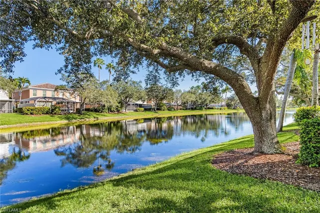 a body of water with a tree in the background