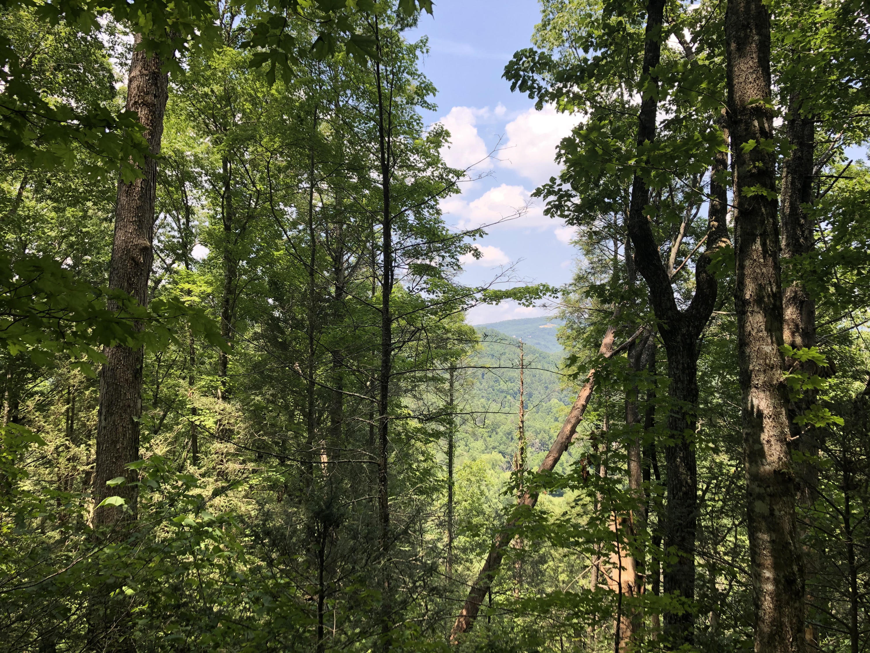 Valley Road Sevierville, TN 37876 - Photo 1 of 8 PV2