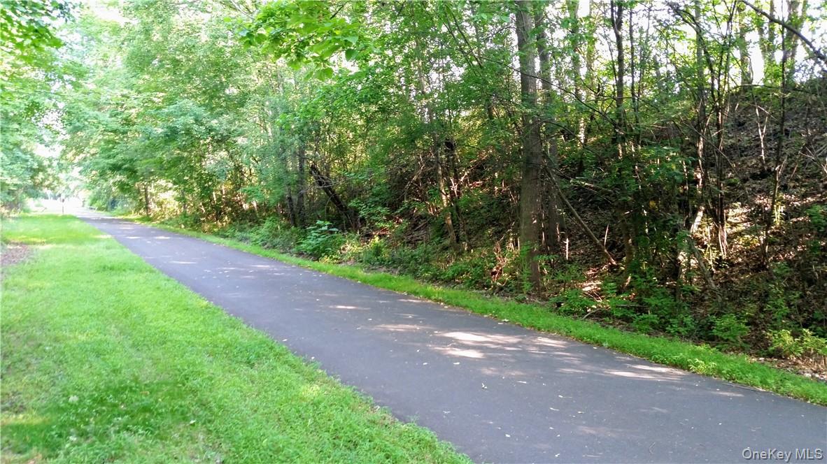 Tbd Old Chester & Duck Farm Road Goshen, NY 10924 - Photo 18 of 35 a view of a yard with a tree