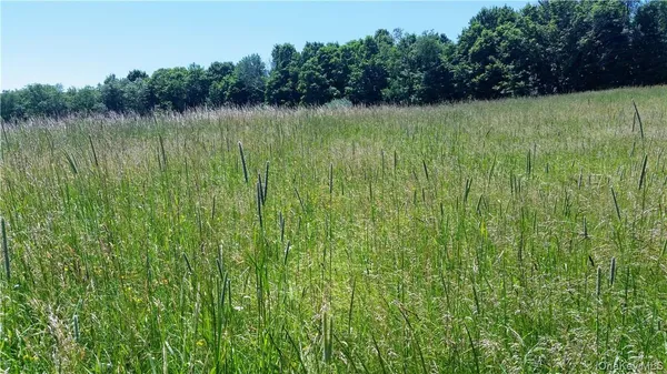 a view of a field with a trees in the background