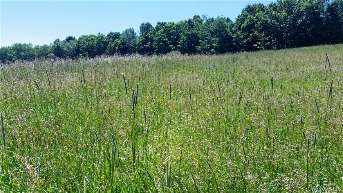 Tbd Old Chester & Duck Farm Road Goshen, NY 10924 - Photo 22 of 35 a view of a lake view with a garden