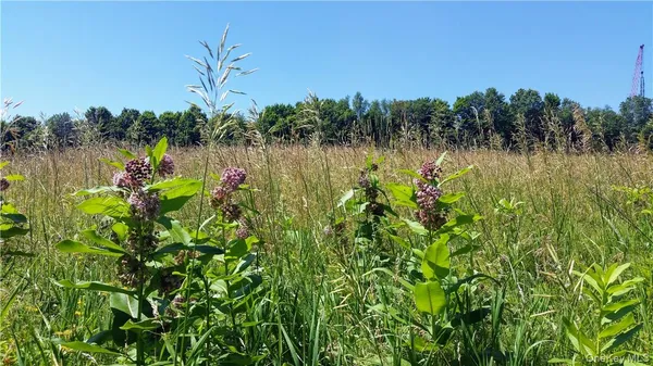a view of a field with an outdoor space