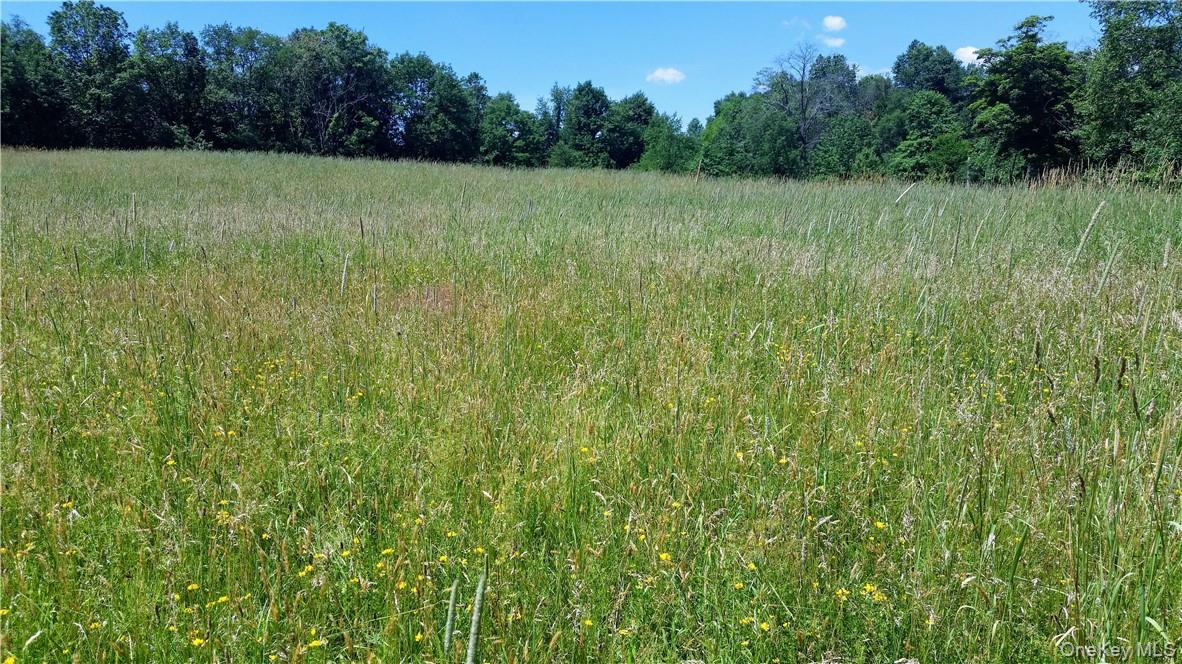Tbd Old Chester & Duck Farm Road Goshen, NY 10924 - Photo 24 of 35 a view of a field with a trees in the background