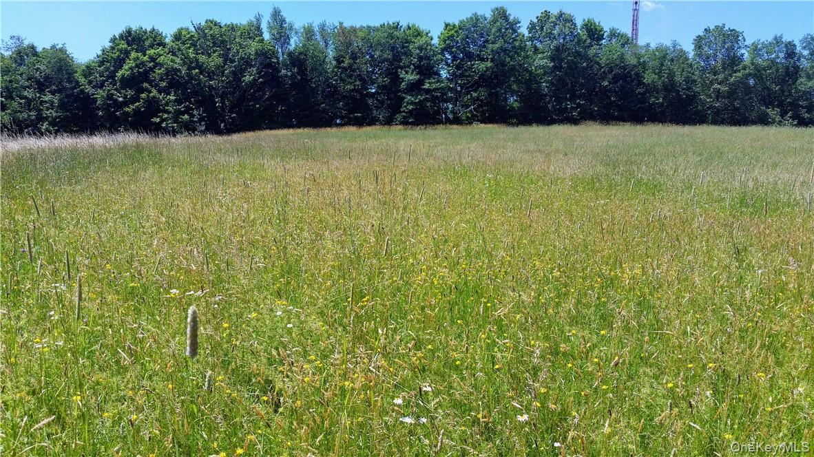 Tbd Old Chester & Duck Farm Road Goshen, NY 10924 - Photo 25 of 35 a view of a field with an outdoor space