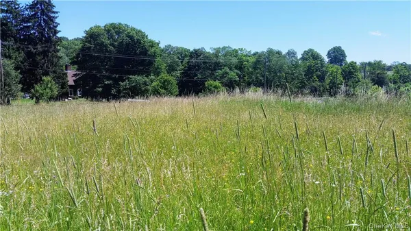a view of a garden