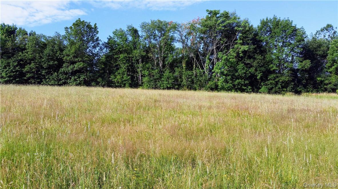 Tbd Old Chester & Duck Farm Road Goshen, NY 10924 - Photo 27 of 35 a view of yard with trees