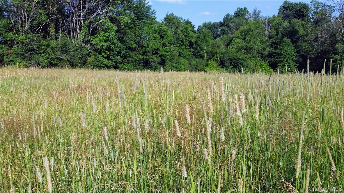 Tbd Old Chester & Duck Farm Road Goshen, NY 10924 - Photo 28 of 35 a view of a garden
