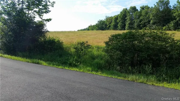 a view of a field with a tree