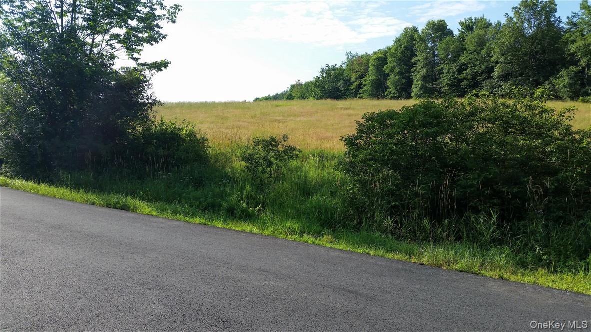 Tbd Old Chester & Duck Farm Road Goshen, NY 10924 - Photo 30 of 35 a view of a lake with a yard