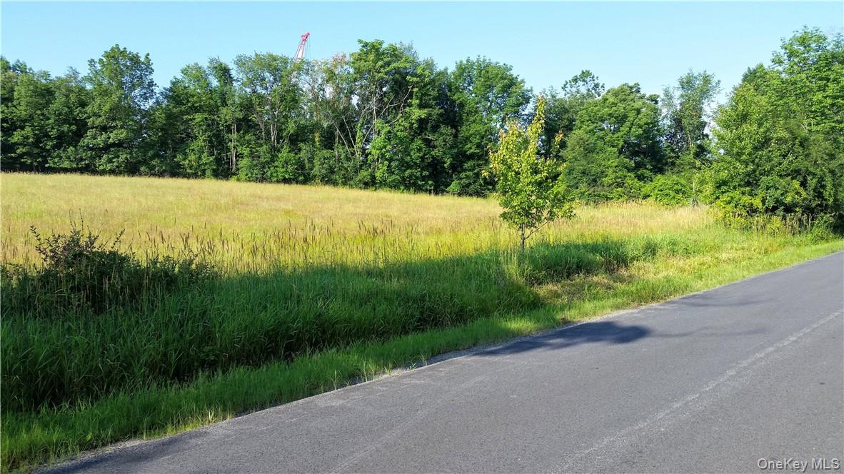 Tbd Old Chester & Duck Farm Road Goshen, NY 10924 - Photo 32 of 35 a view of a field with a tree