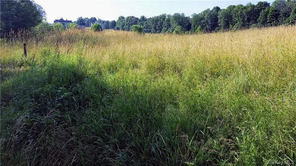 $378,900 | Tbd Old Chester & Duck Farm Road, Goshen, NY 10924