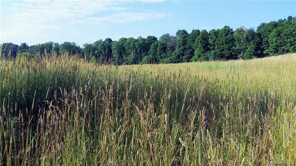 $378,900 | Tbd Old Chester & Duck Farm Road, Goshen, NY 10924