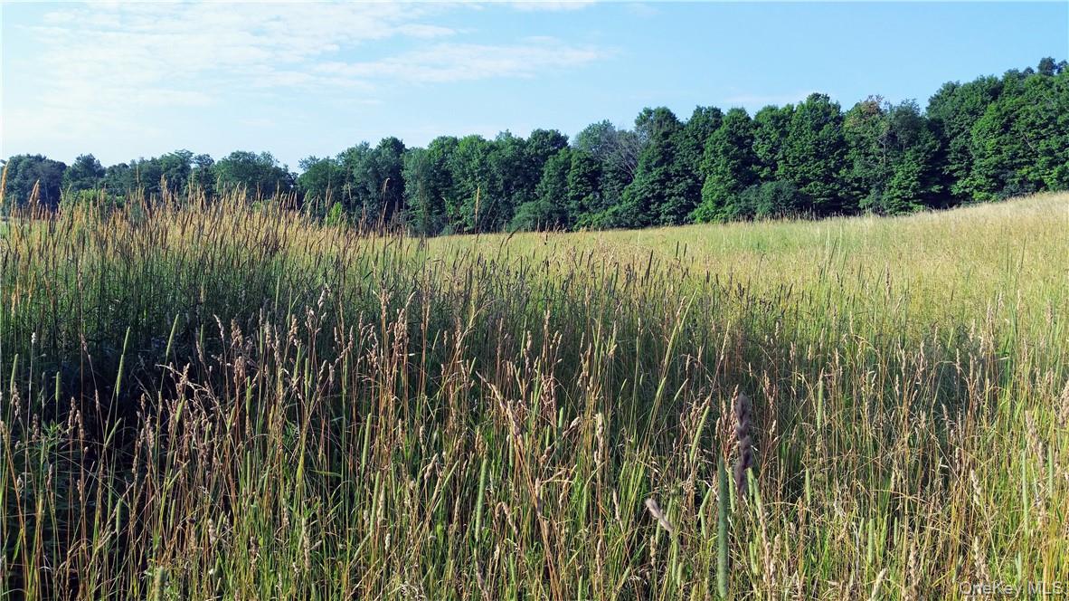 Tbd Old Chester & Duck Farm Road Goshen, NY 10924 - Photo 35 of 35 a view of backyard with swimming pool and green space