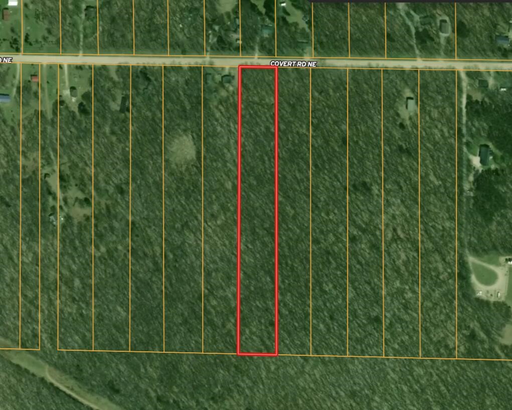 Vl Covert Road Northeast Mancelona, MI 49659 - Photo 20 of 22
