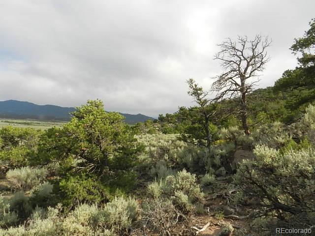 508 Butchy Road Fort Garland, CO 81133 - Photo 1 of 5 Gallery Image 1