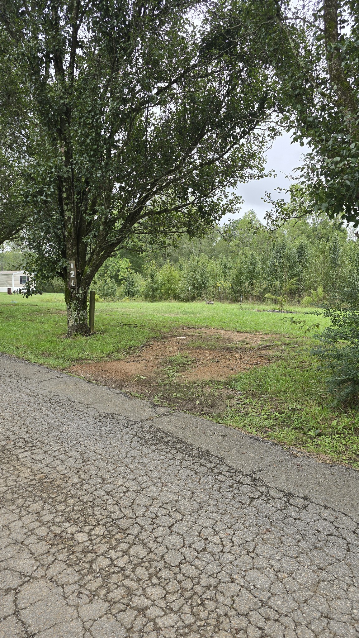 120 Shannon Road Leoma, TN 38468 - Photo 4 of 10 Gallery Image 4