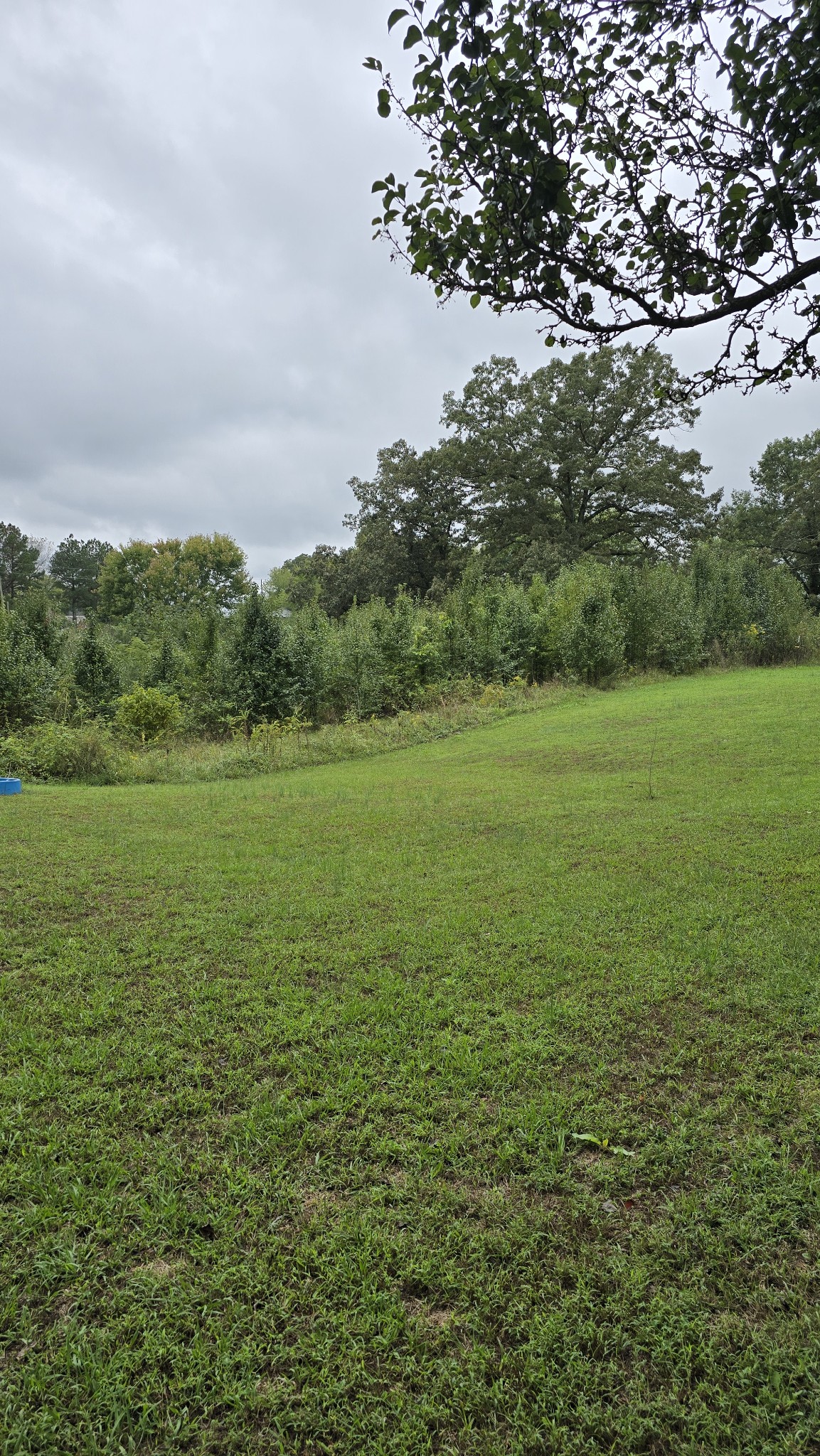 120 Shannon Road Leoma, TN 38468 - Photo 7 of 10 Gallery Image 7